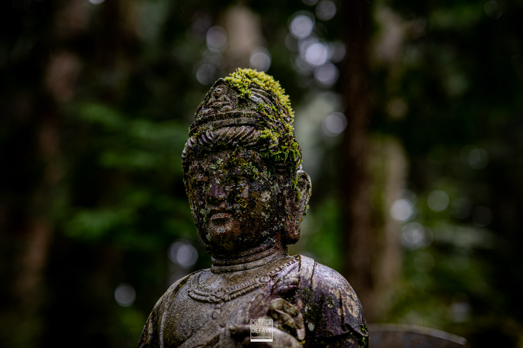 Les dieux et la ville