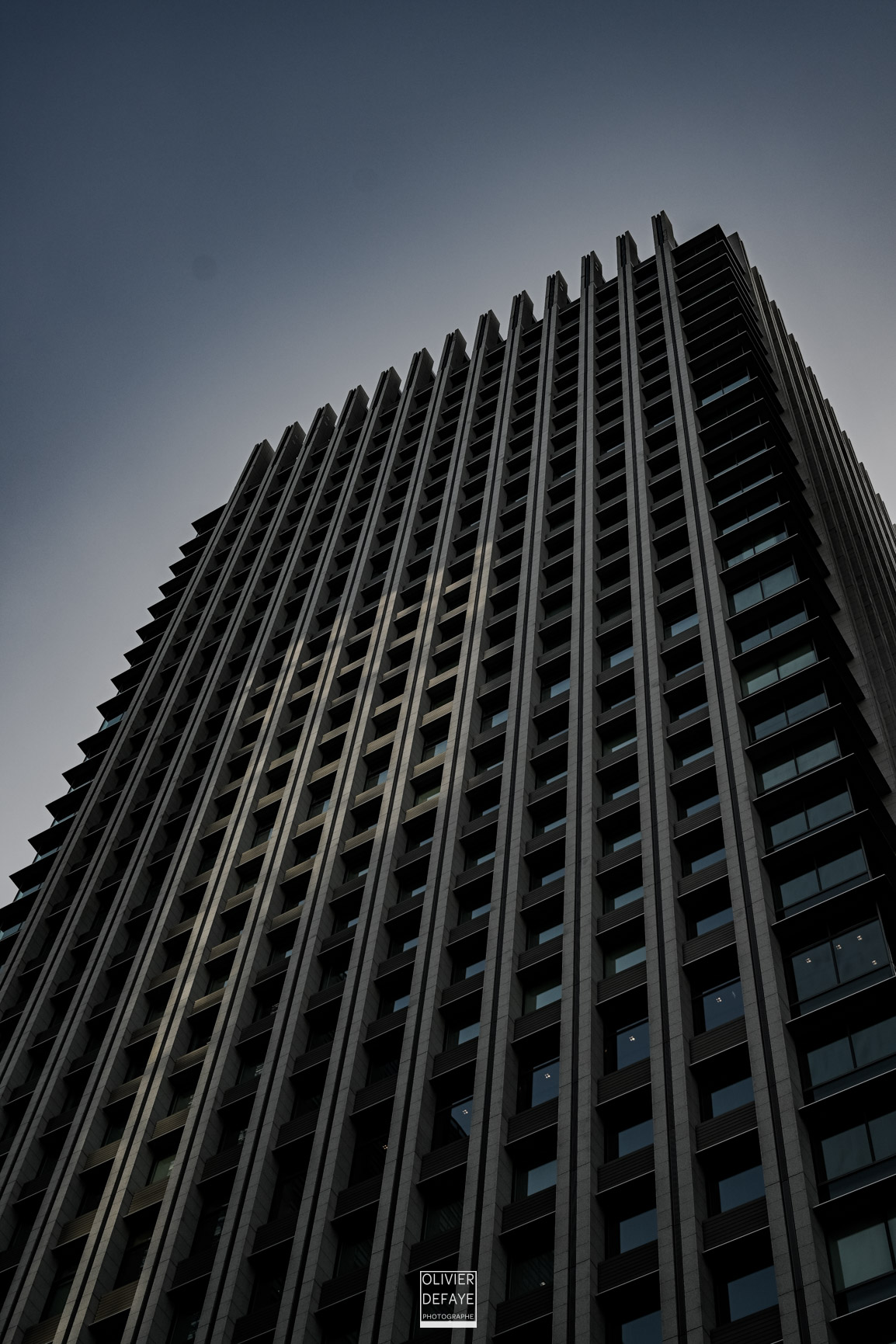 Les dieux et la ville