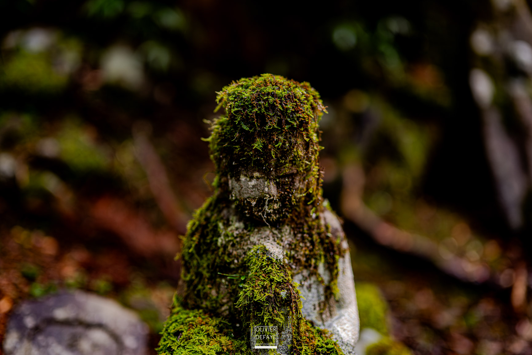 Les dieux et la ville