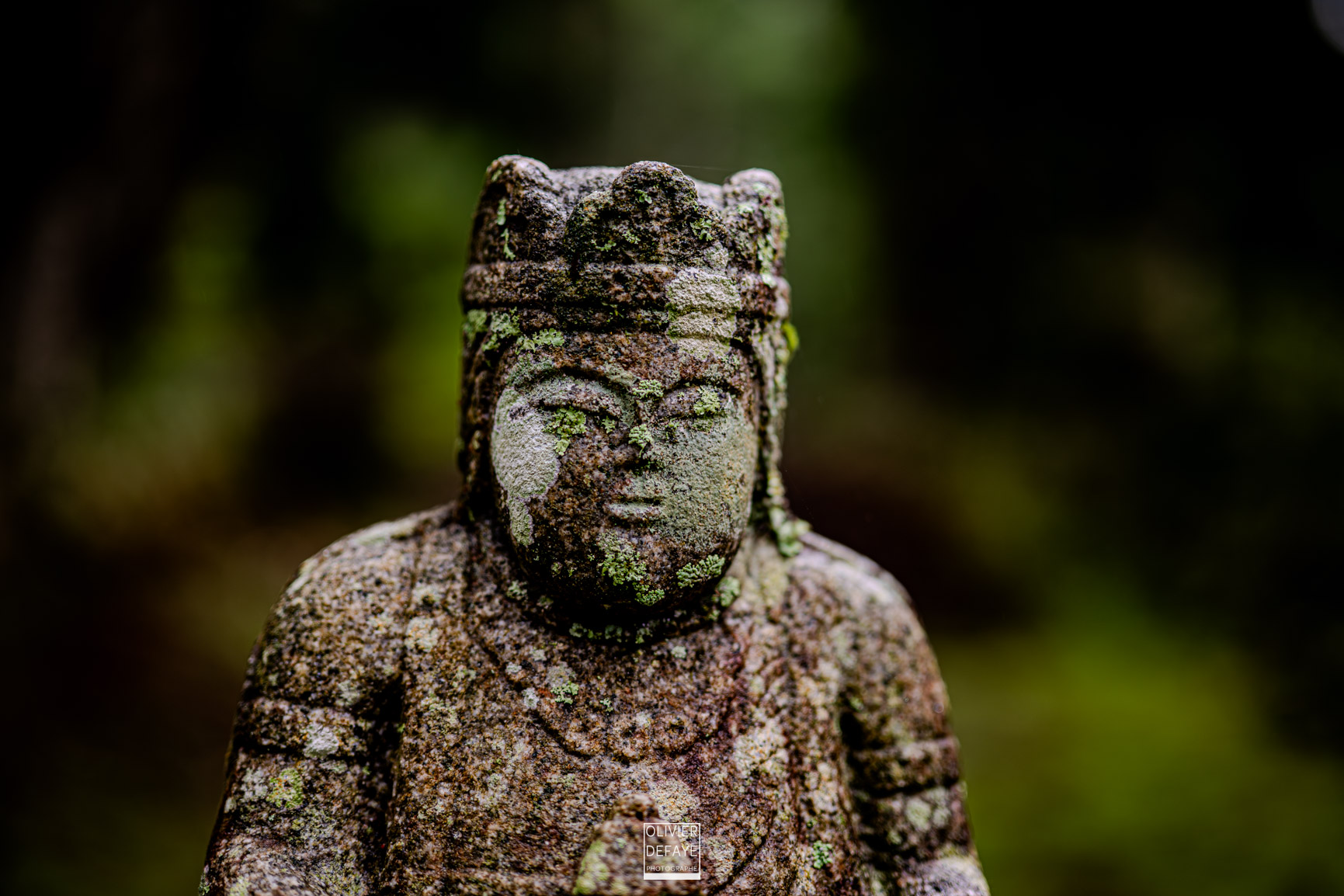 Les dieux et la ville