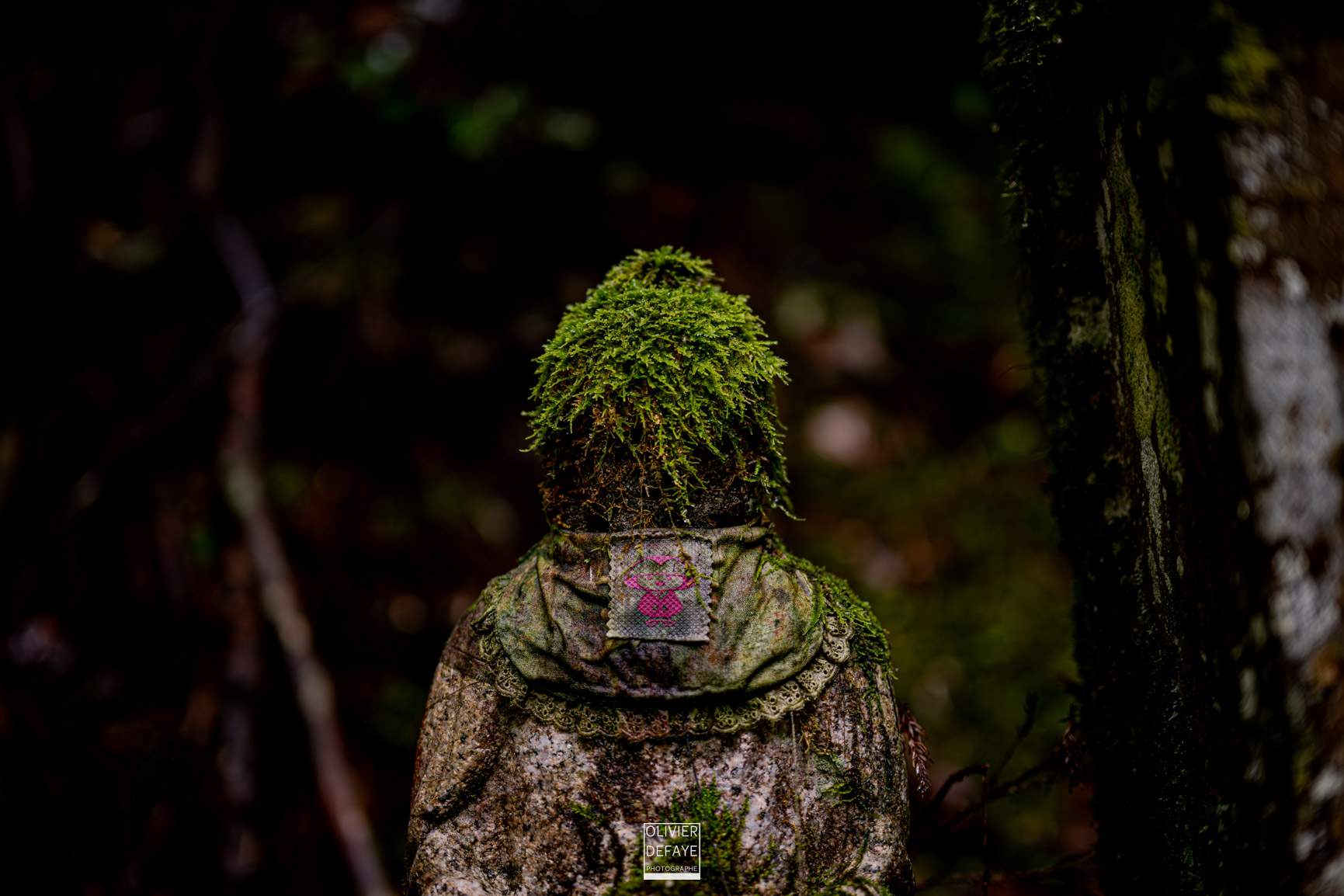 Les dieux et la ville