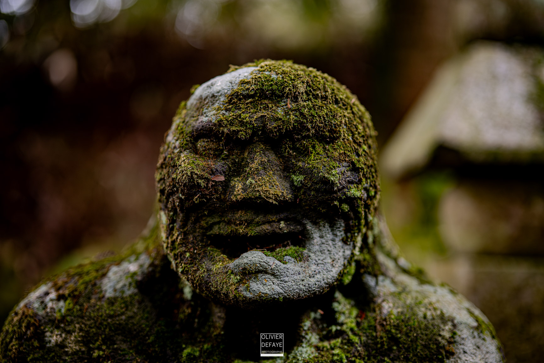 Les dieux et la ville