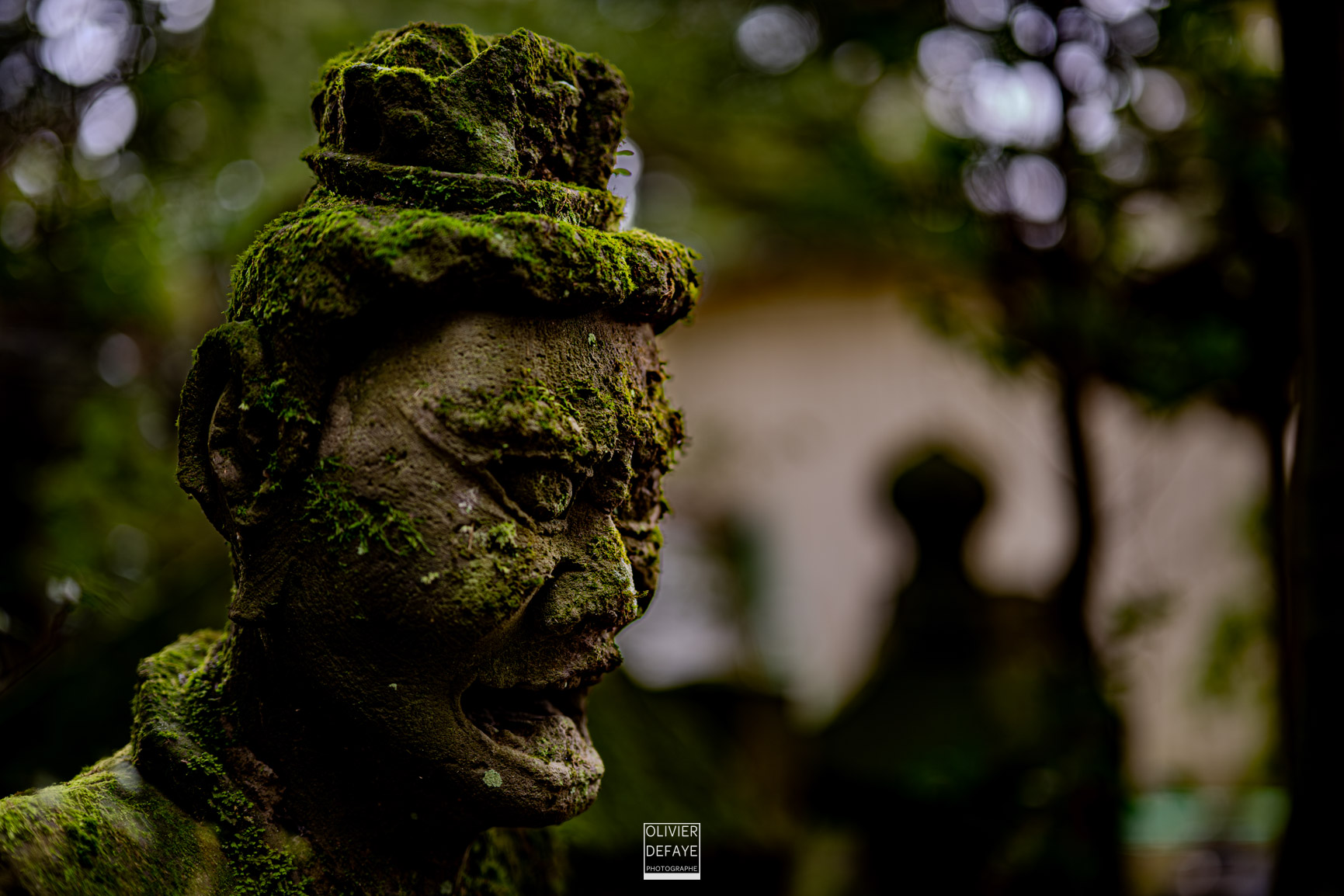 Les dieux et la ville