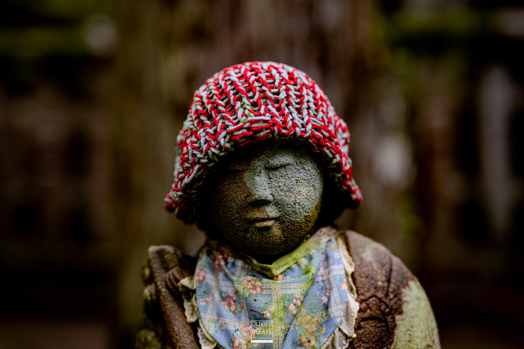 Les dieux et la ville