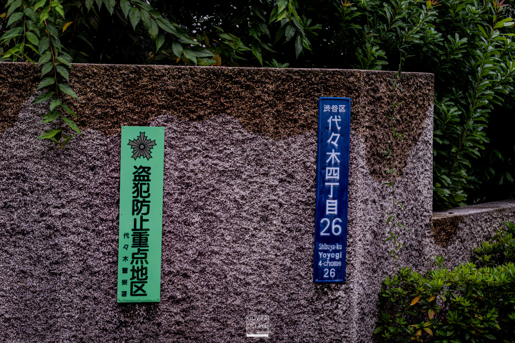 The details of the city