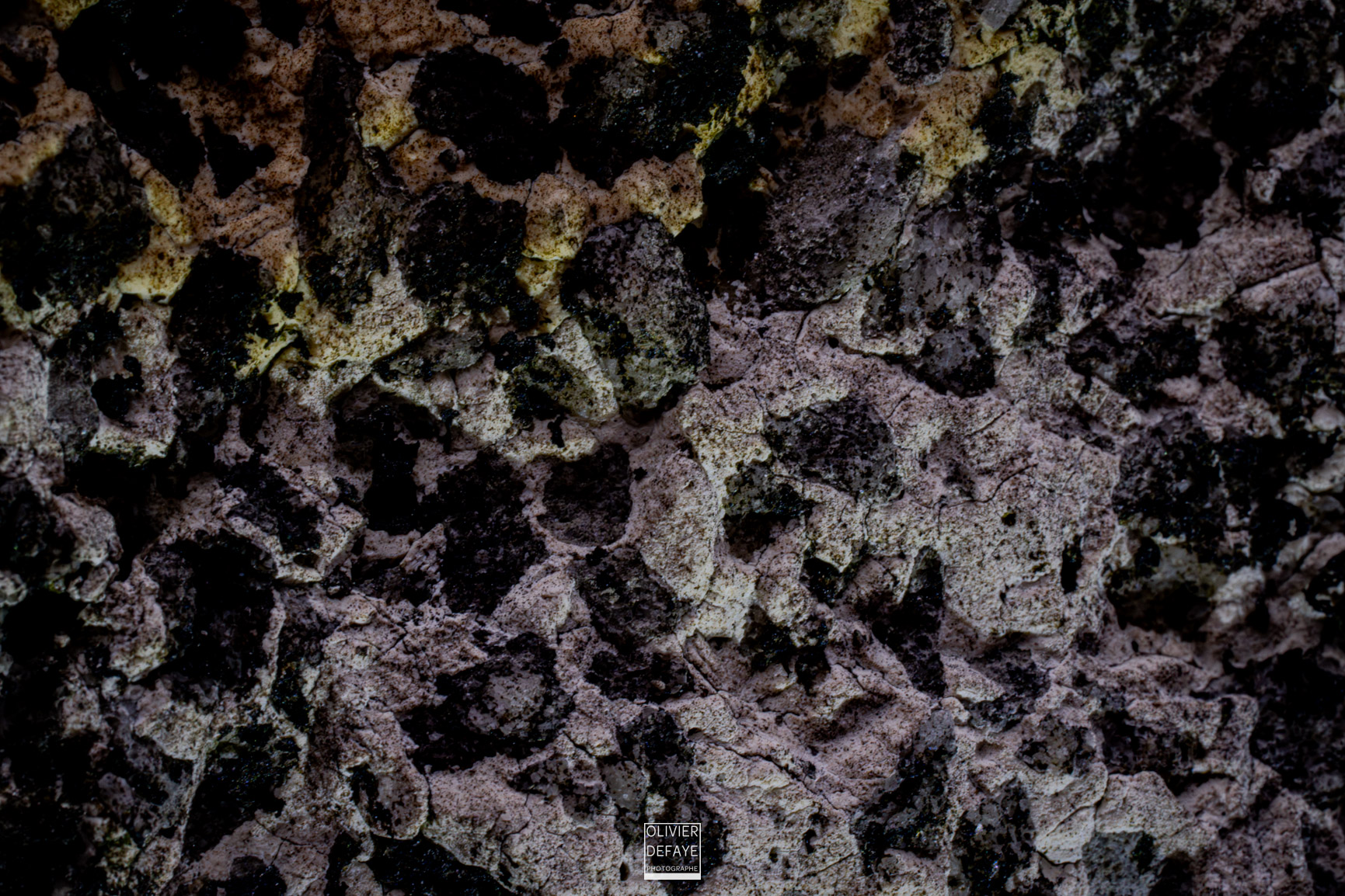 The details of the city