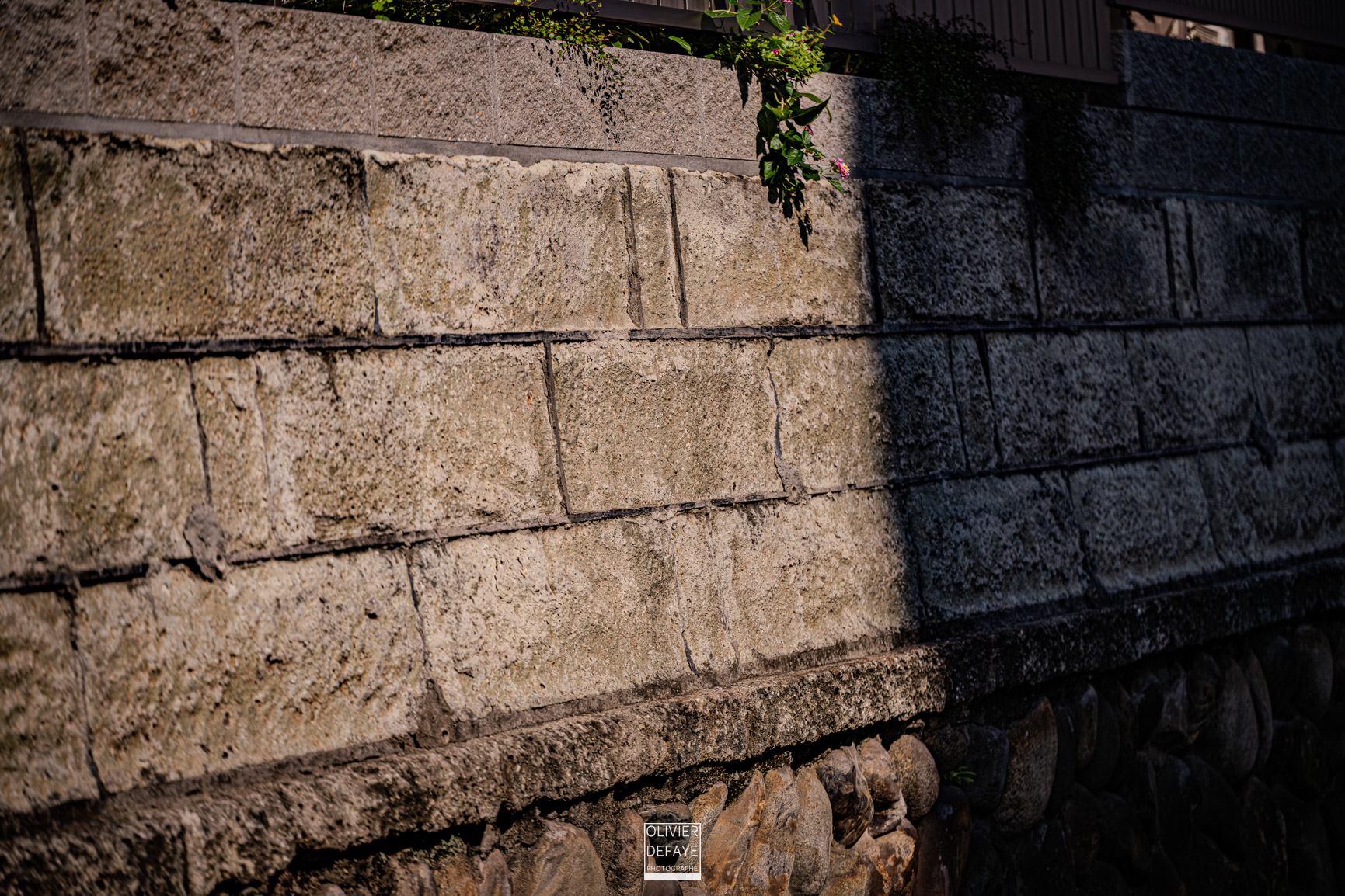 The details of the city