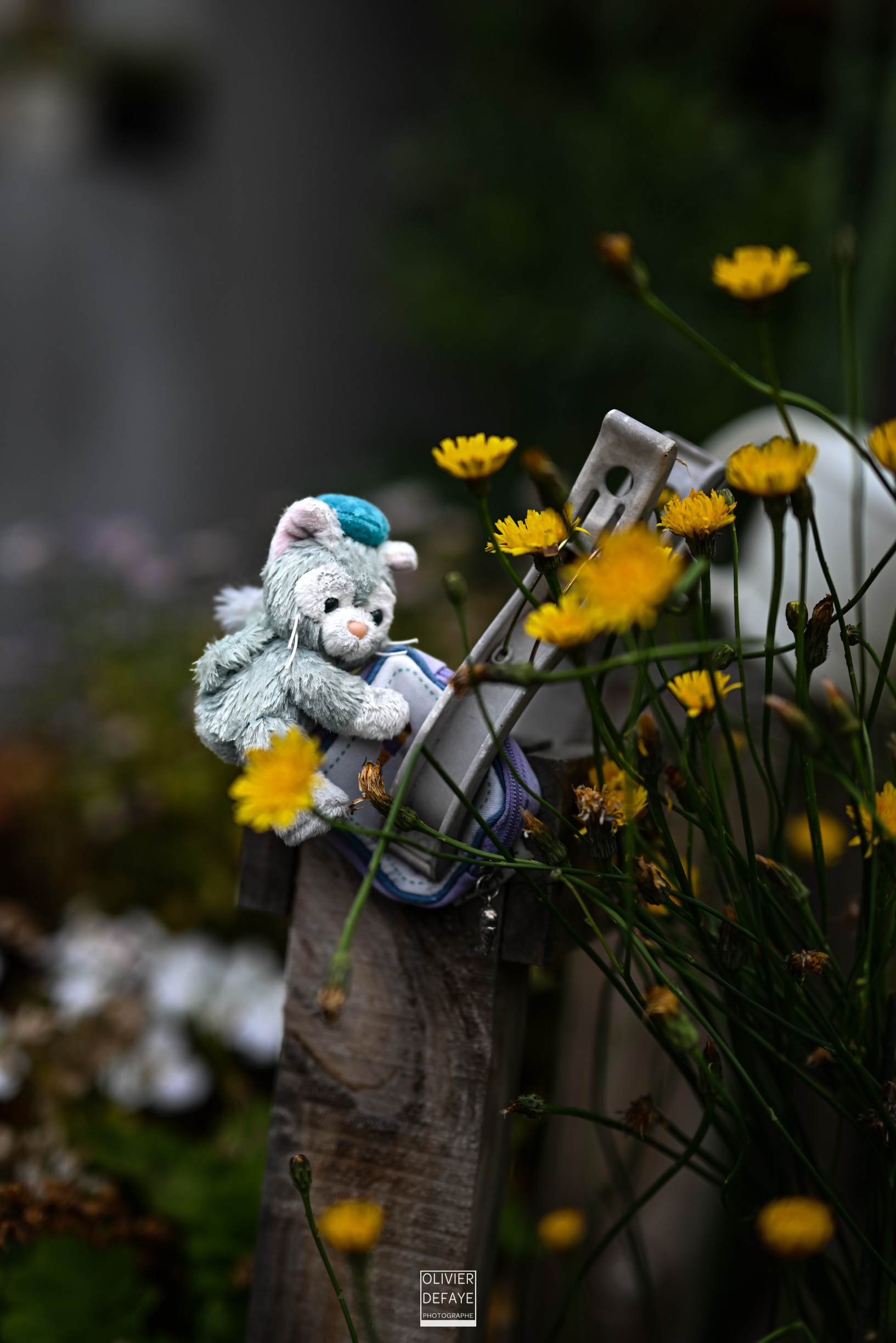 Les objets dans la ville