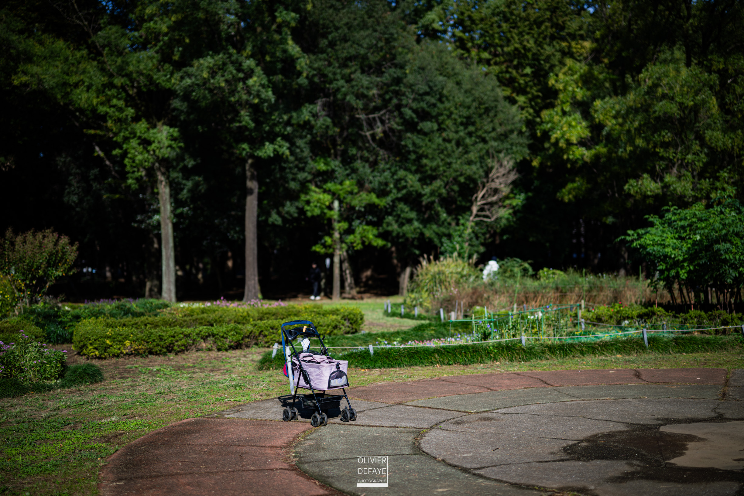 Les objets dans la ville