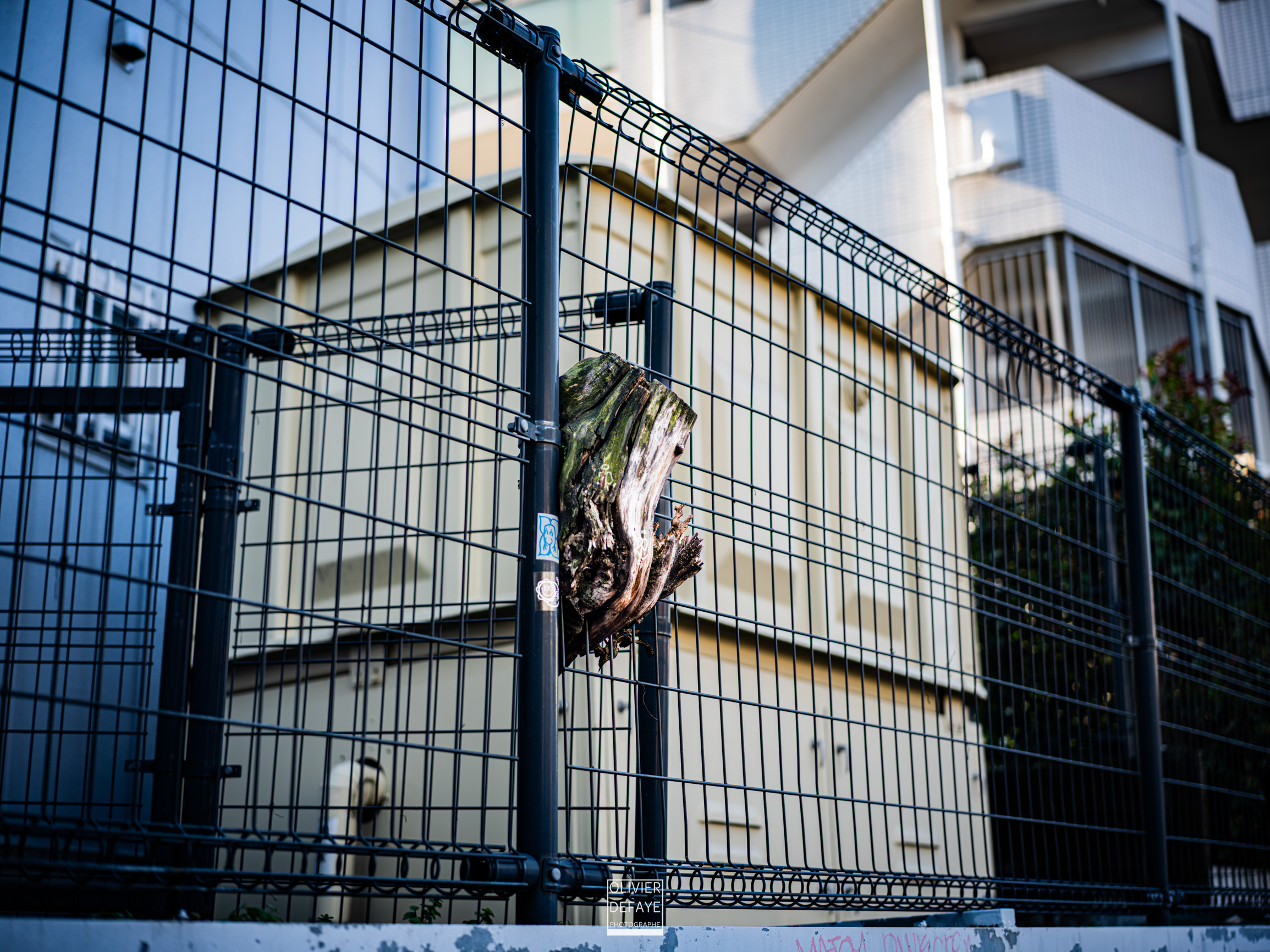 Les objets dans la ville