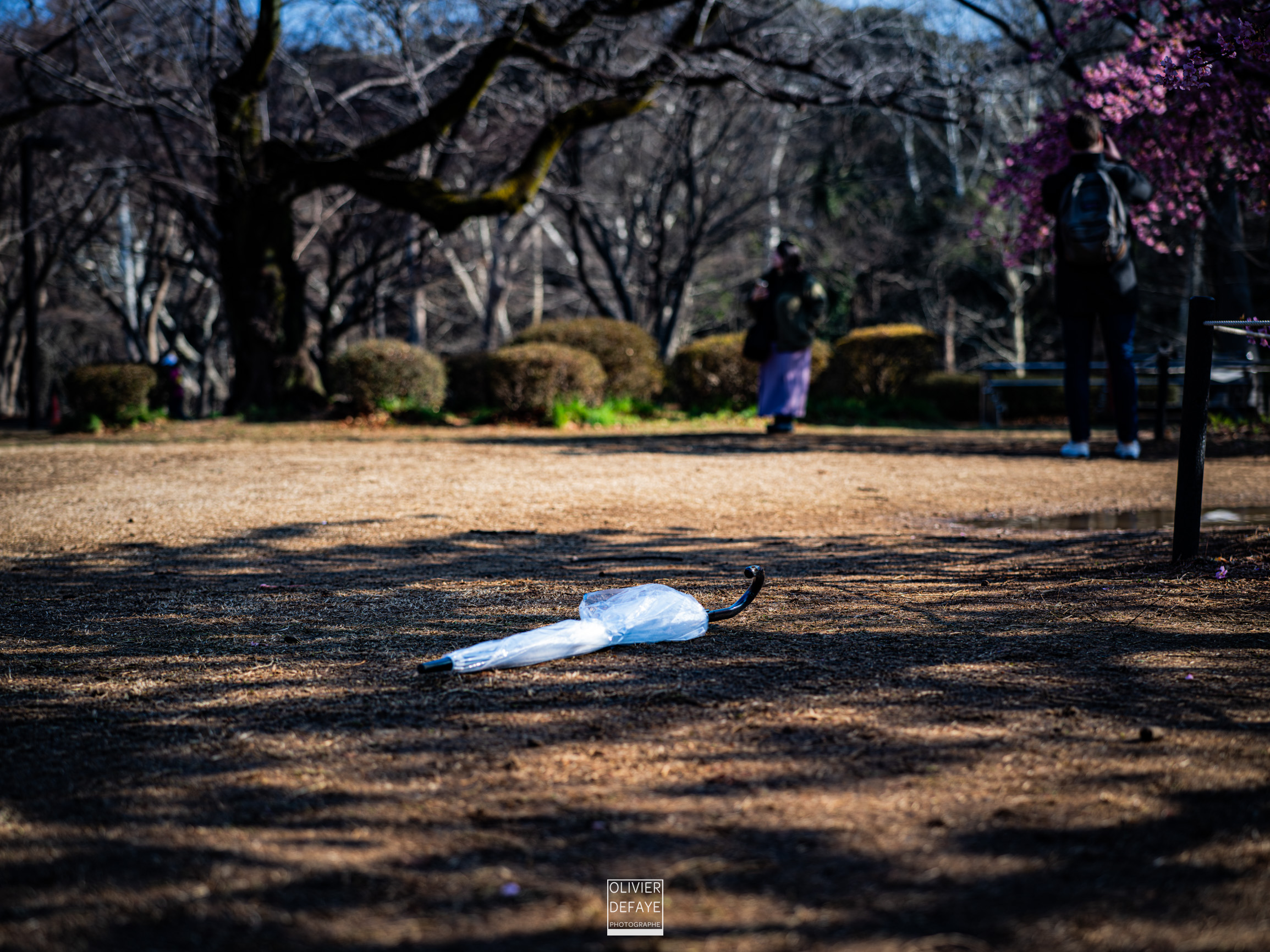 Les objets dans la ville