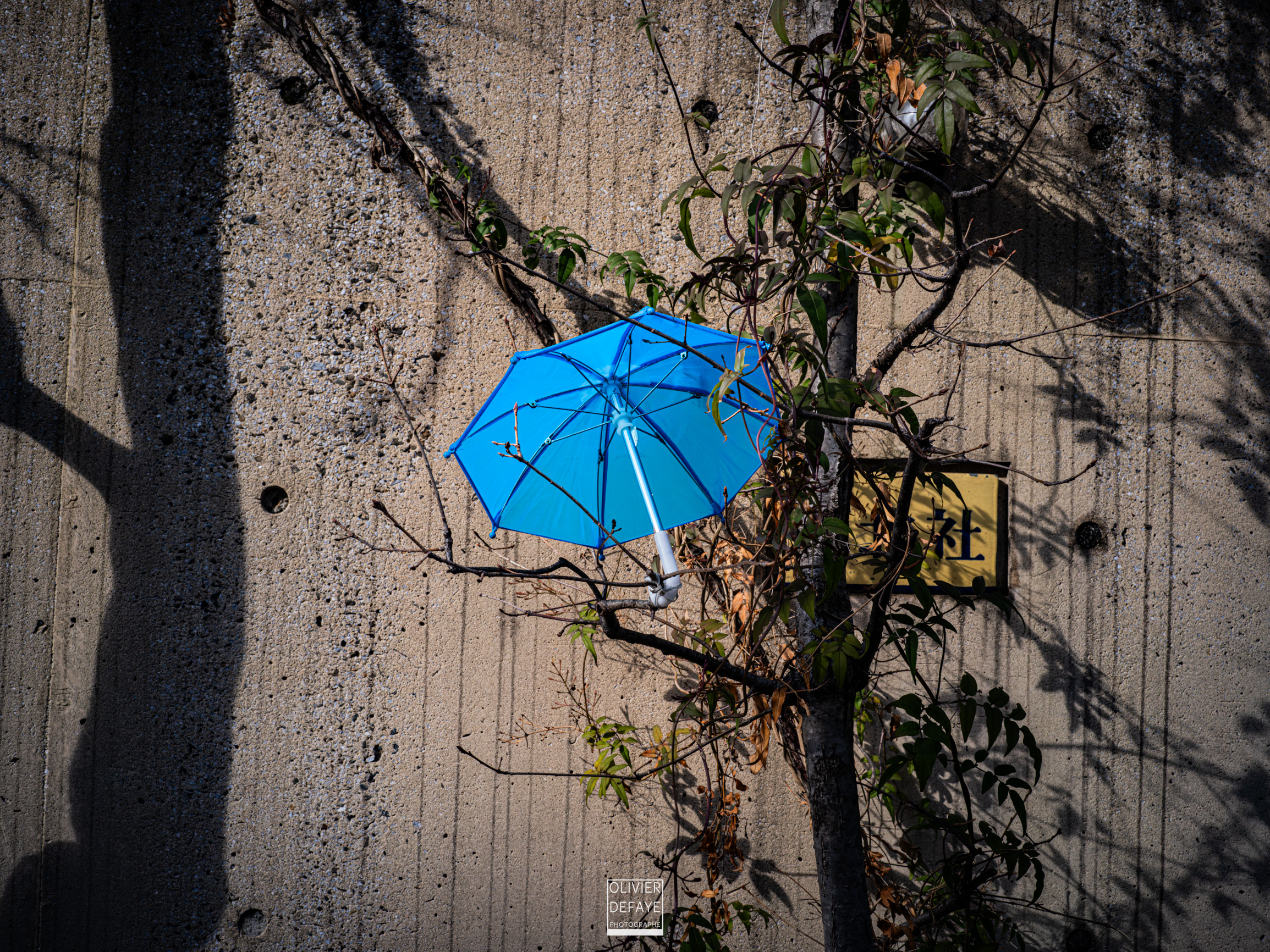 Les objets dans la ville