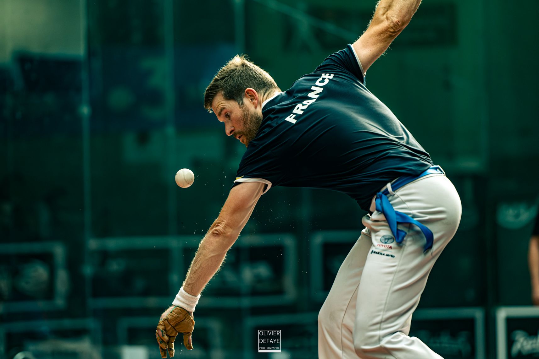 Ligue des nations 2024