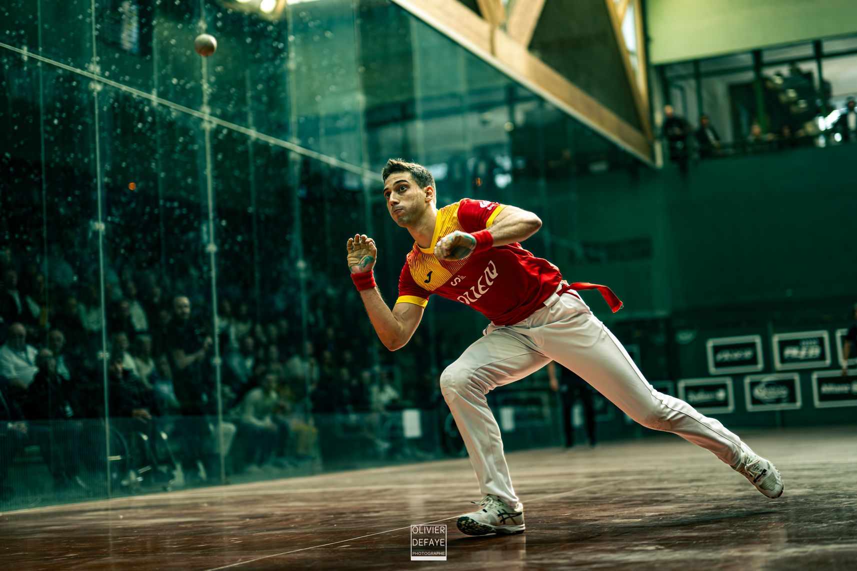 Ligue des nations 2024