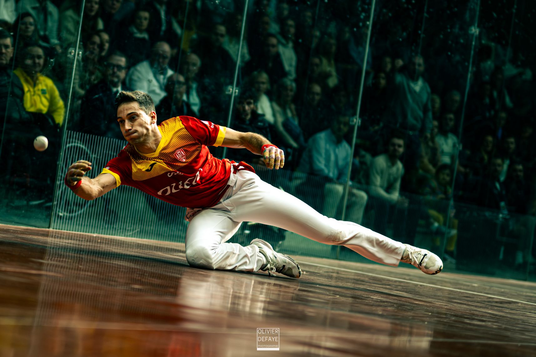 Ligue des nations 2024