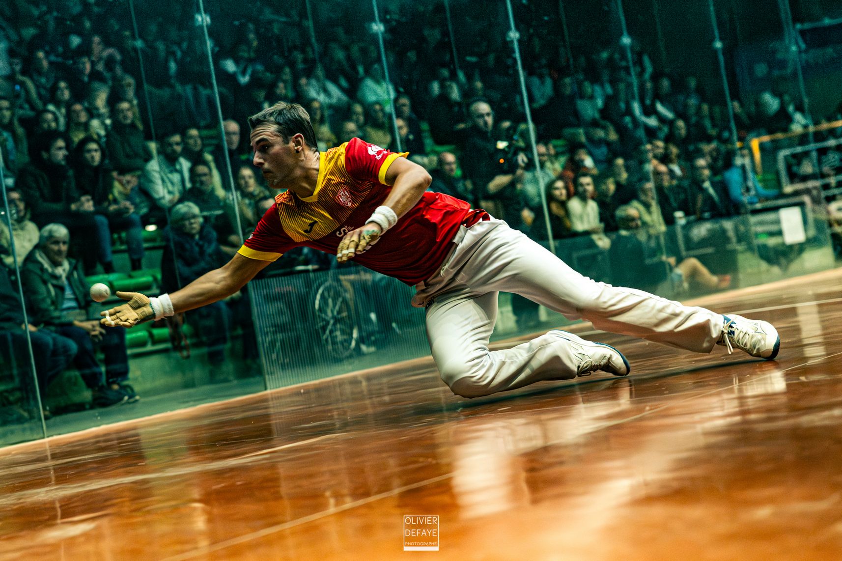 Ligue des nations 2024