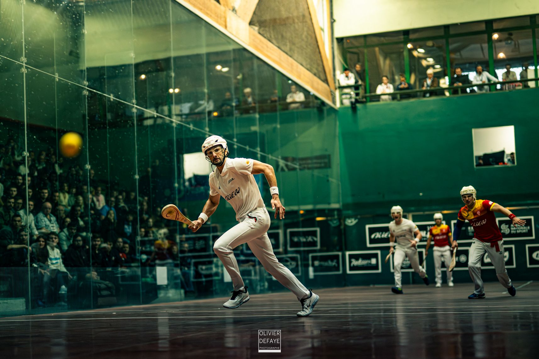 Ligue des nations 2024