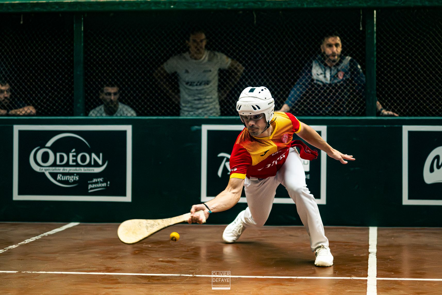 Ligue des nations 2024