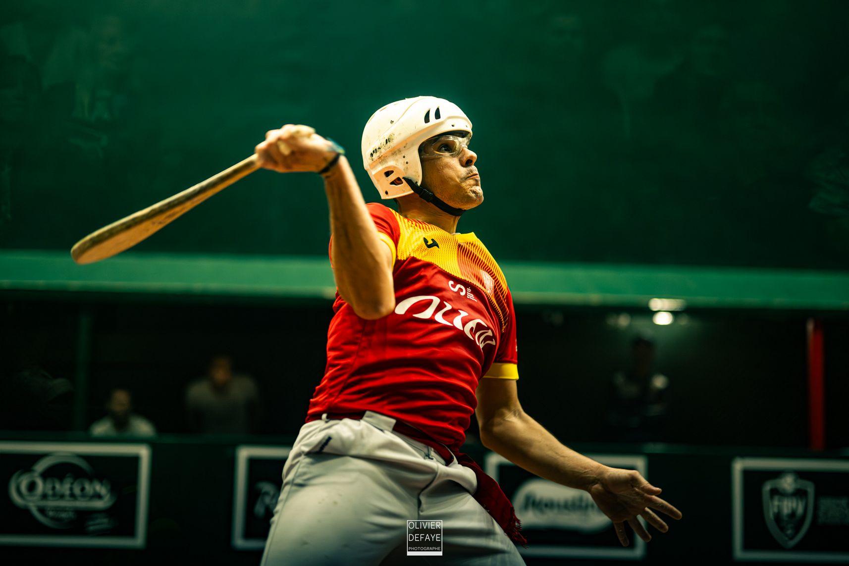 Ligue des nations 2024