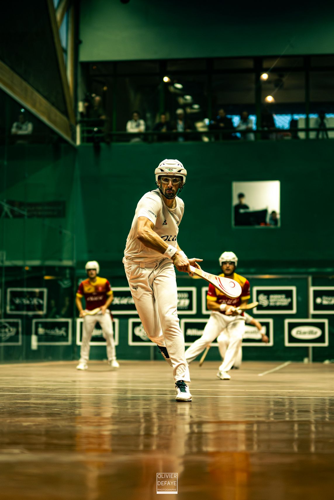 Ligue des nations 2024