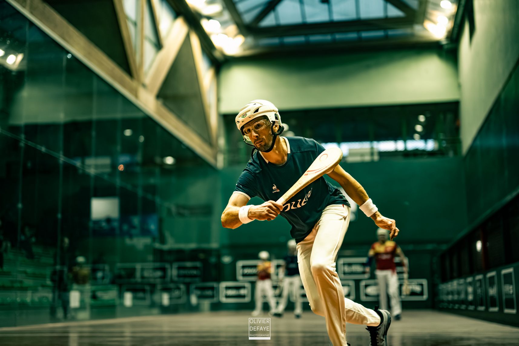 Ligue des nations 2024