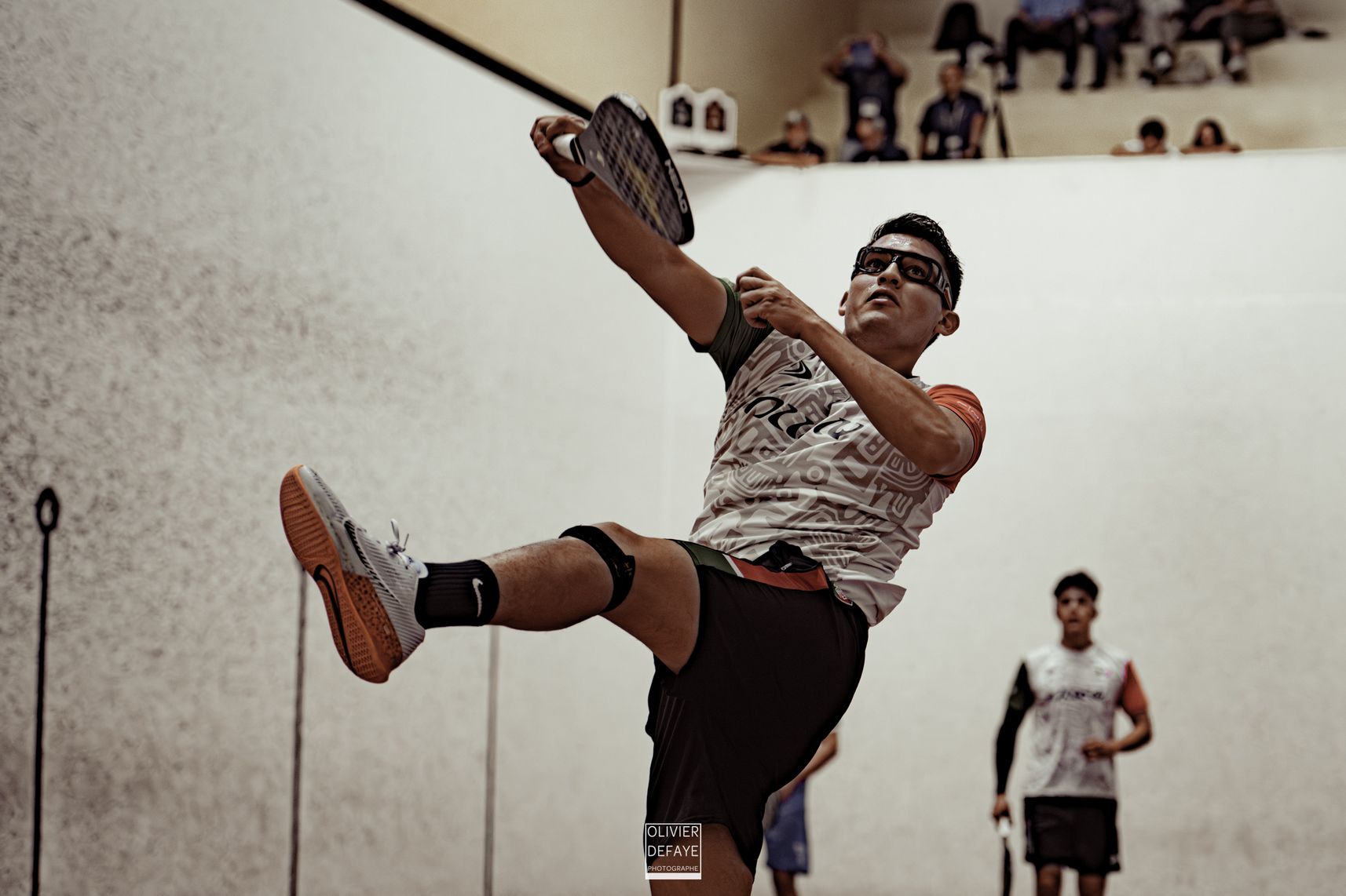 Ligue des nations 2024