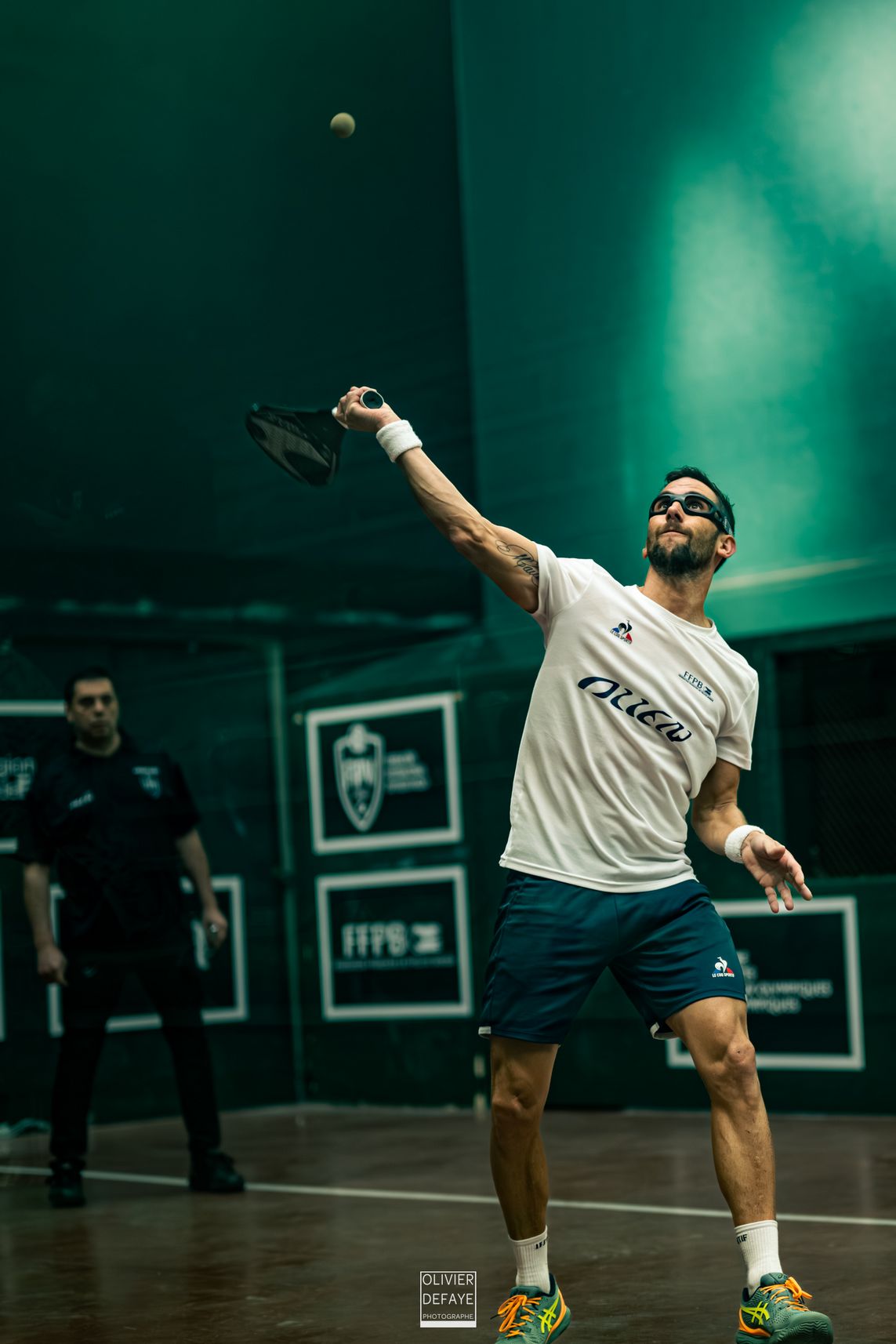 Ligue des nations 2024