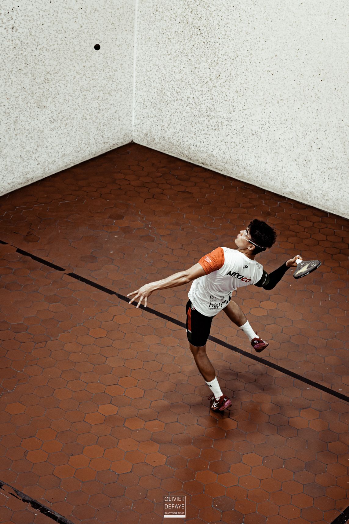 Ligue des nations 2024