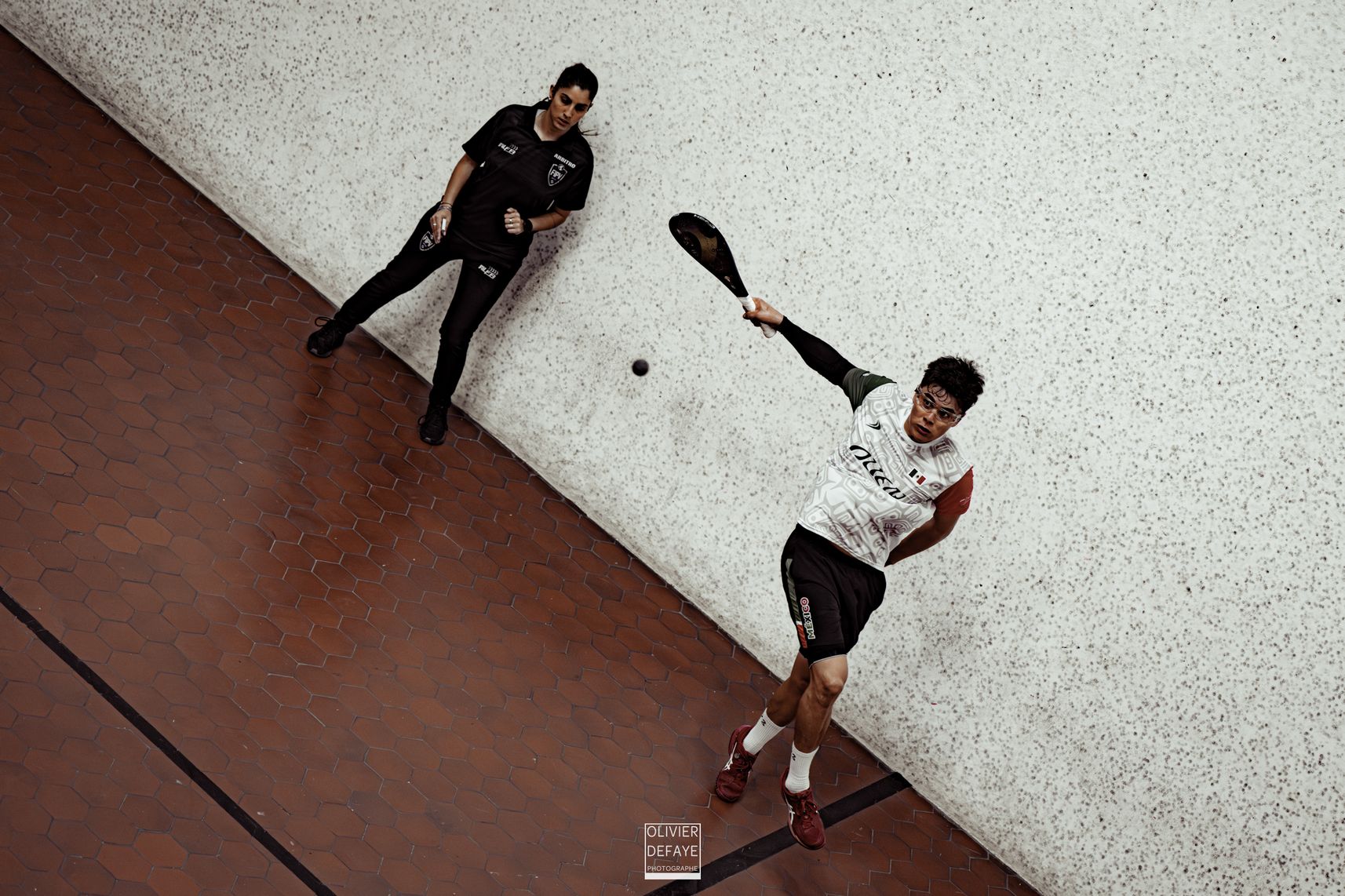 Ligue des nations 2024