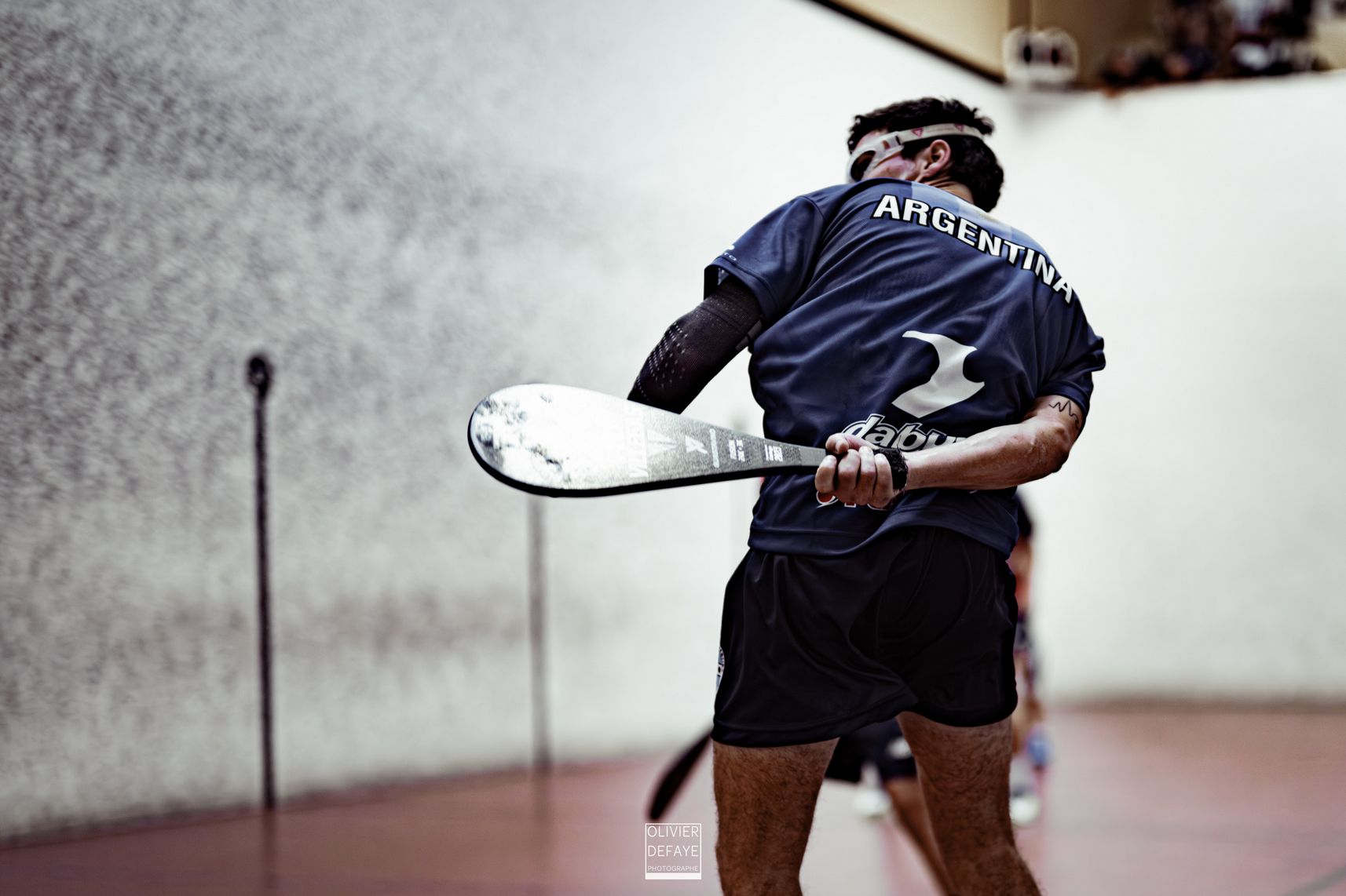 Ligue des nations 2024