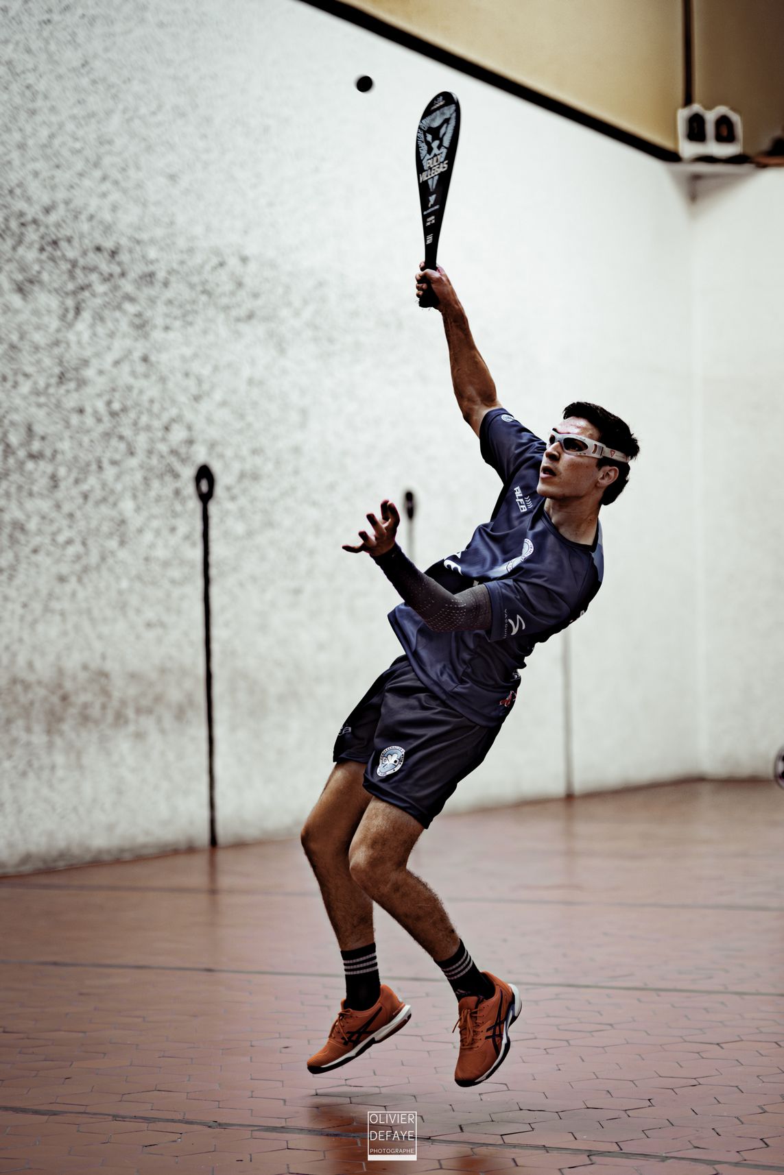 Ligue des nations 2024