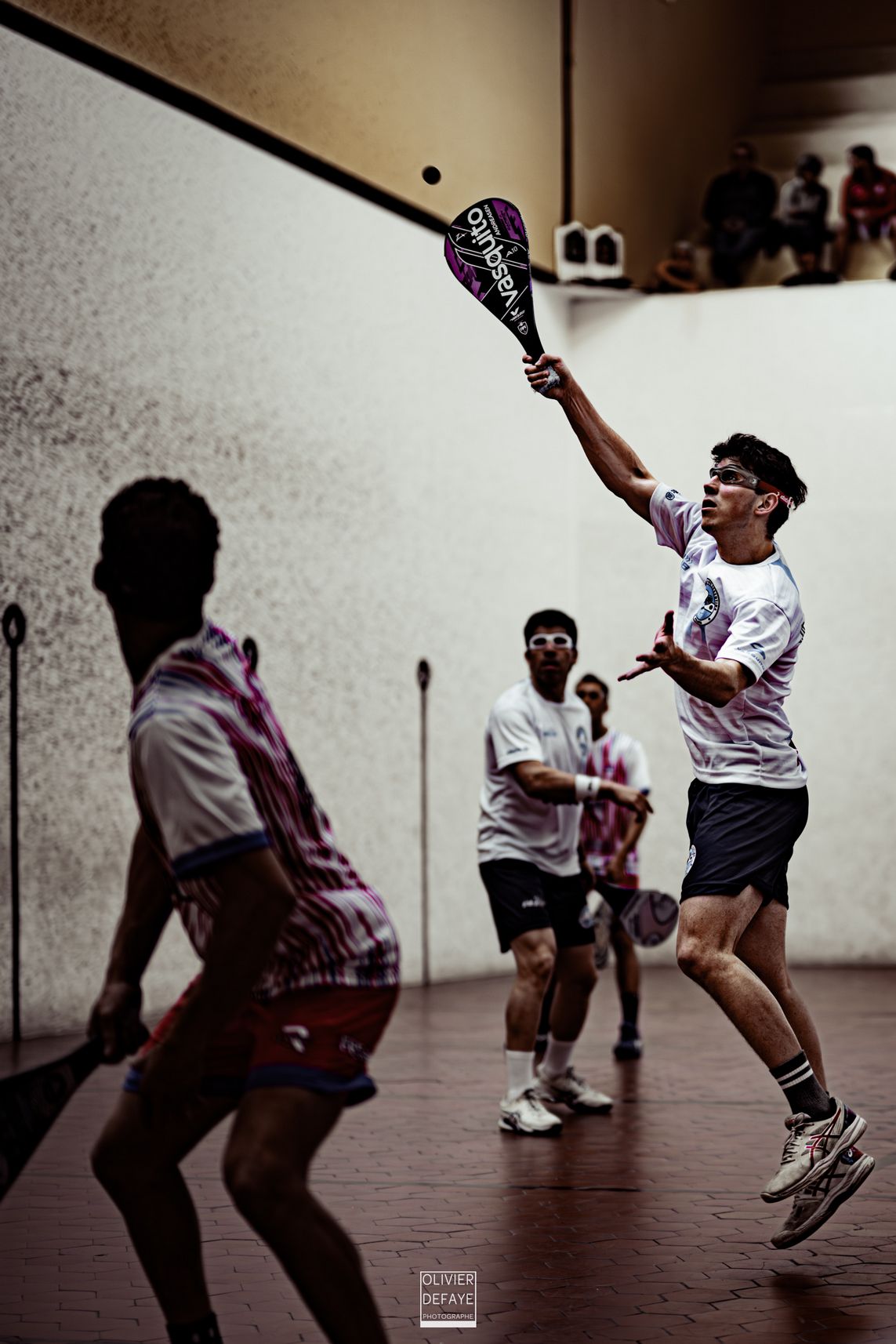 Ligue des nations 2024