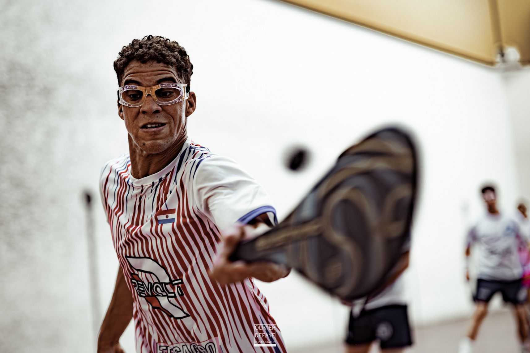 Ligue des nations 2024