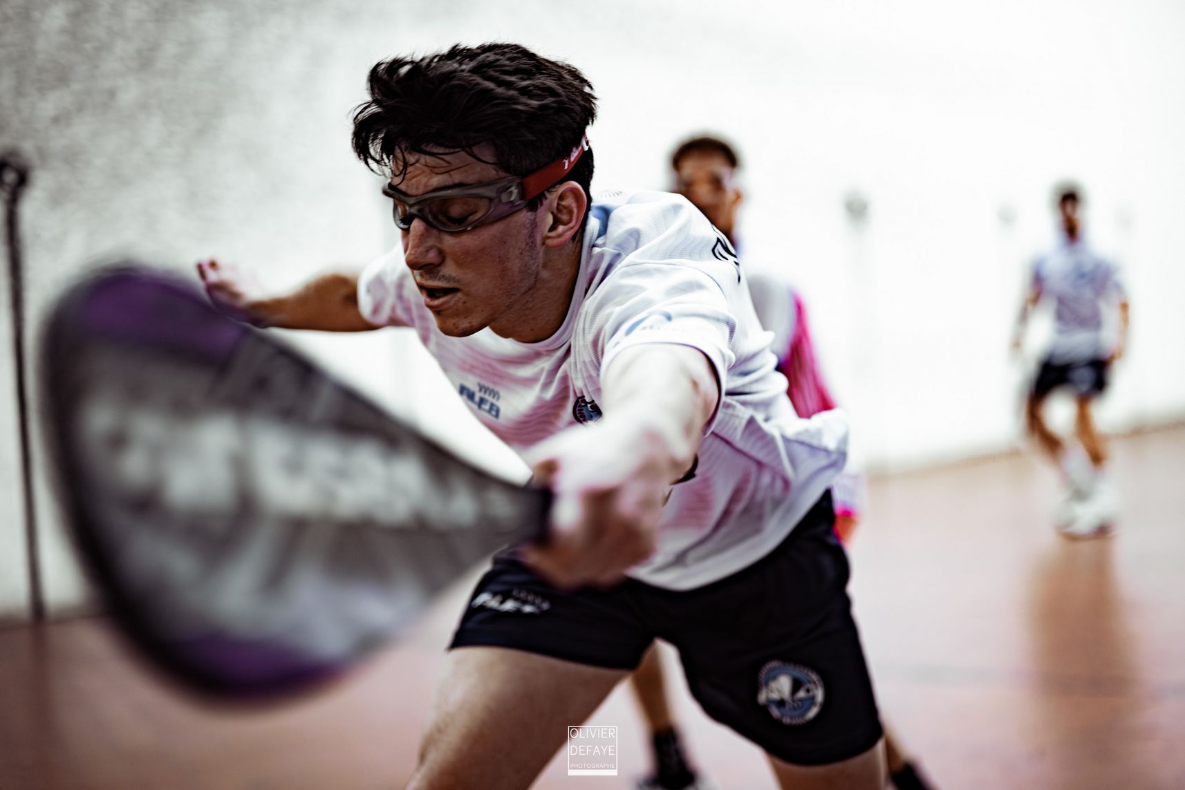 Ligue des nations 2024