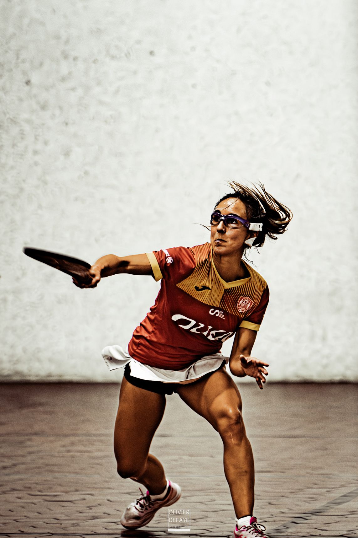 Ligue des nations 2024