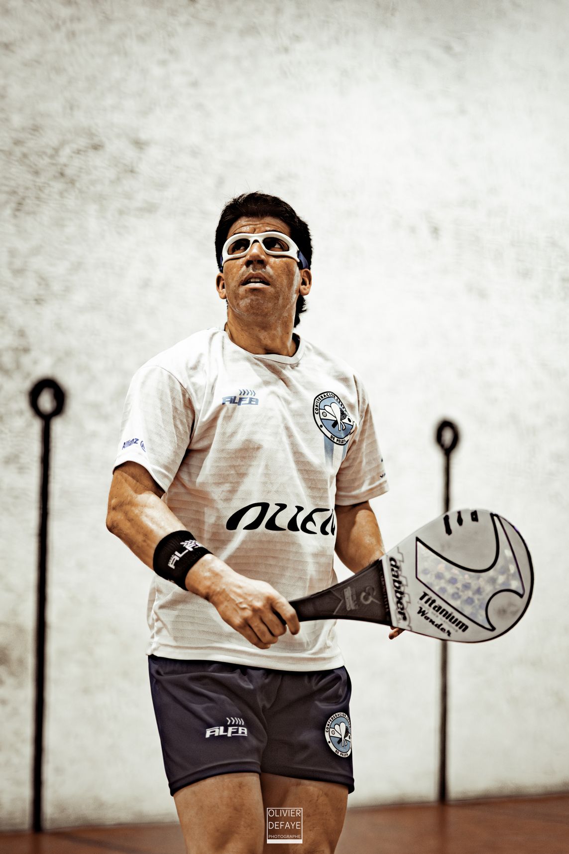 Ligue des nations 2024