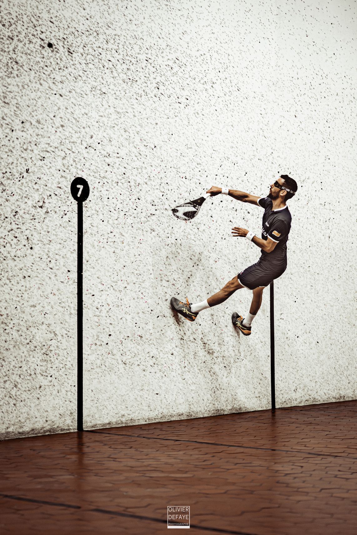 Ligue des nations 2024