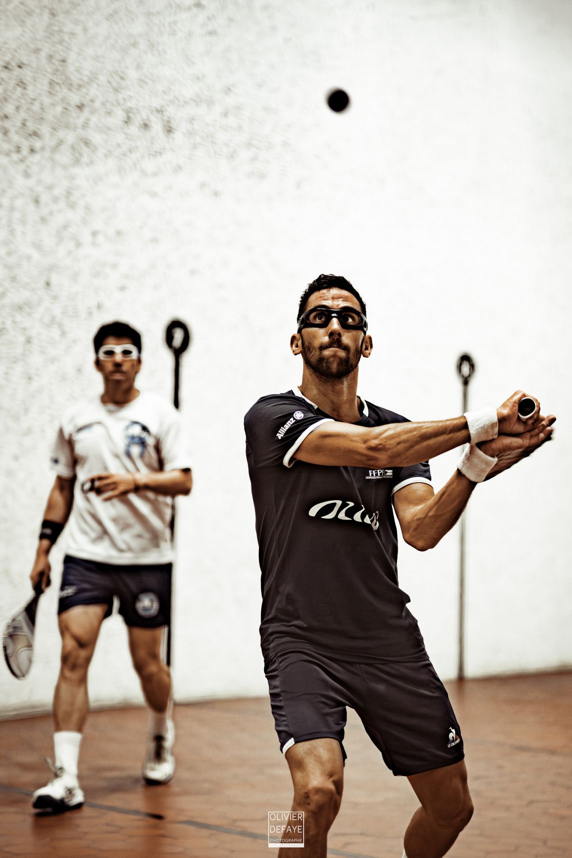 Ligue des nations 2024