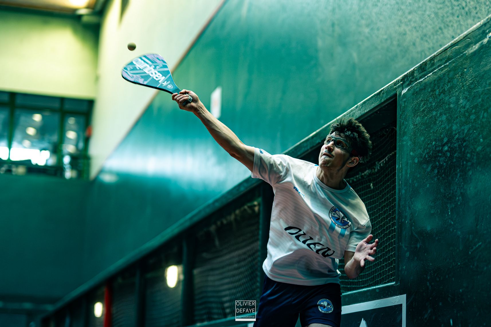 Ligue des nations 2024