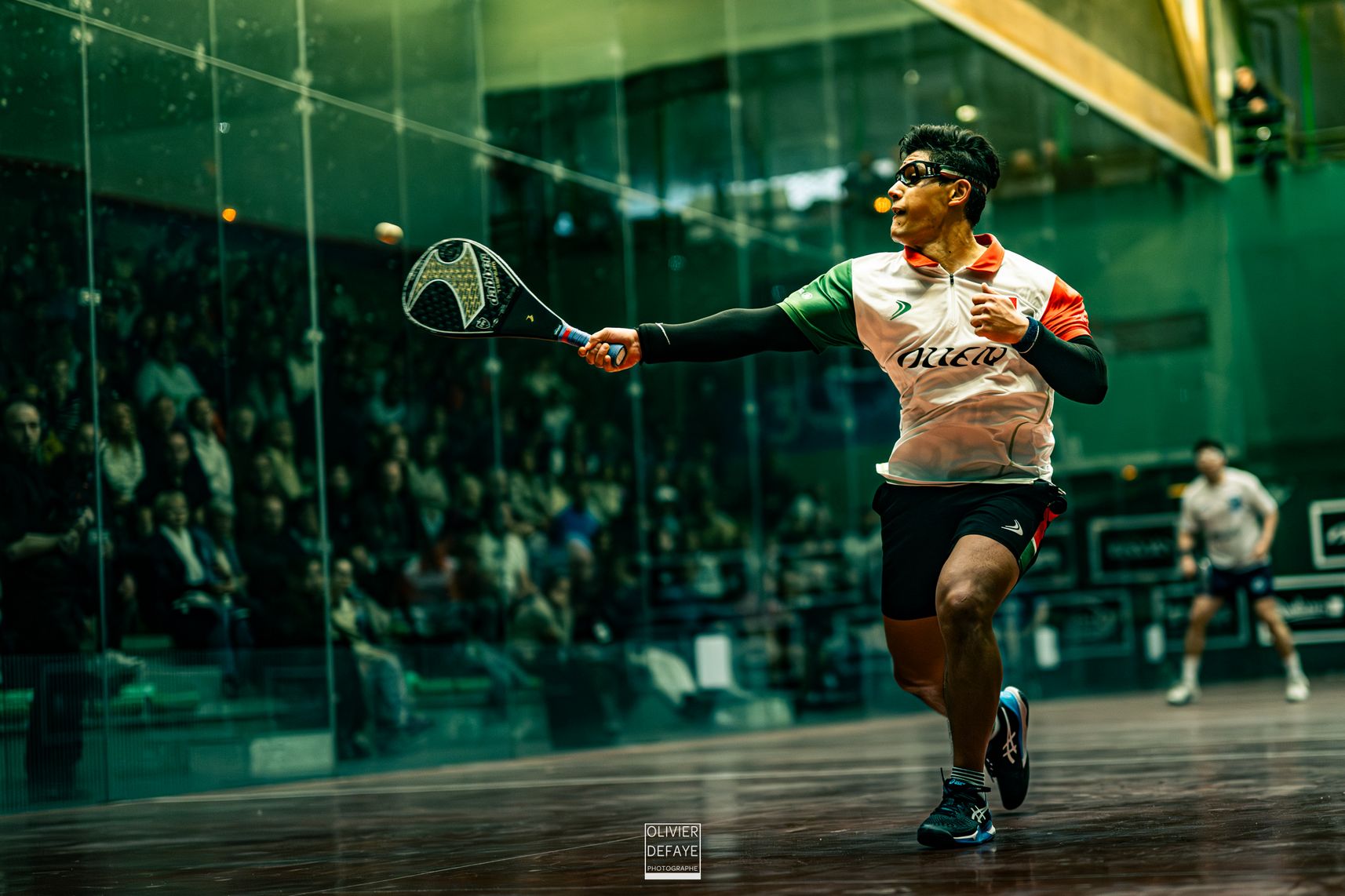 Ligue des nations 2024