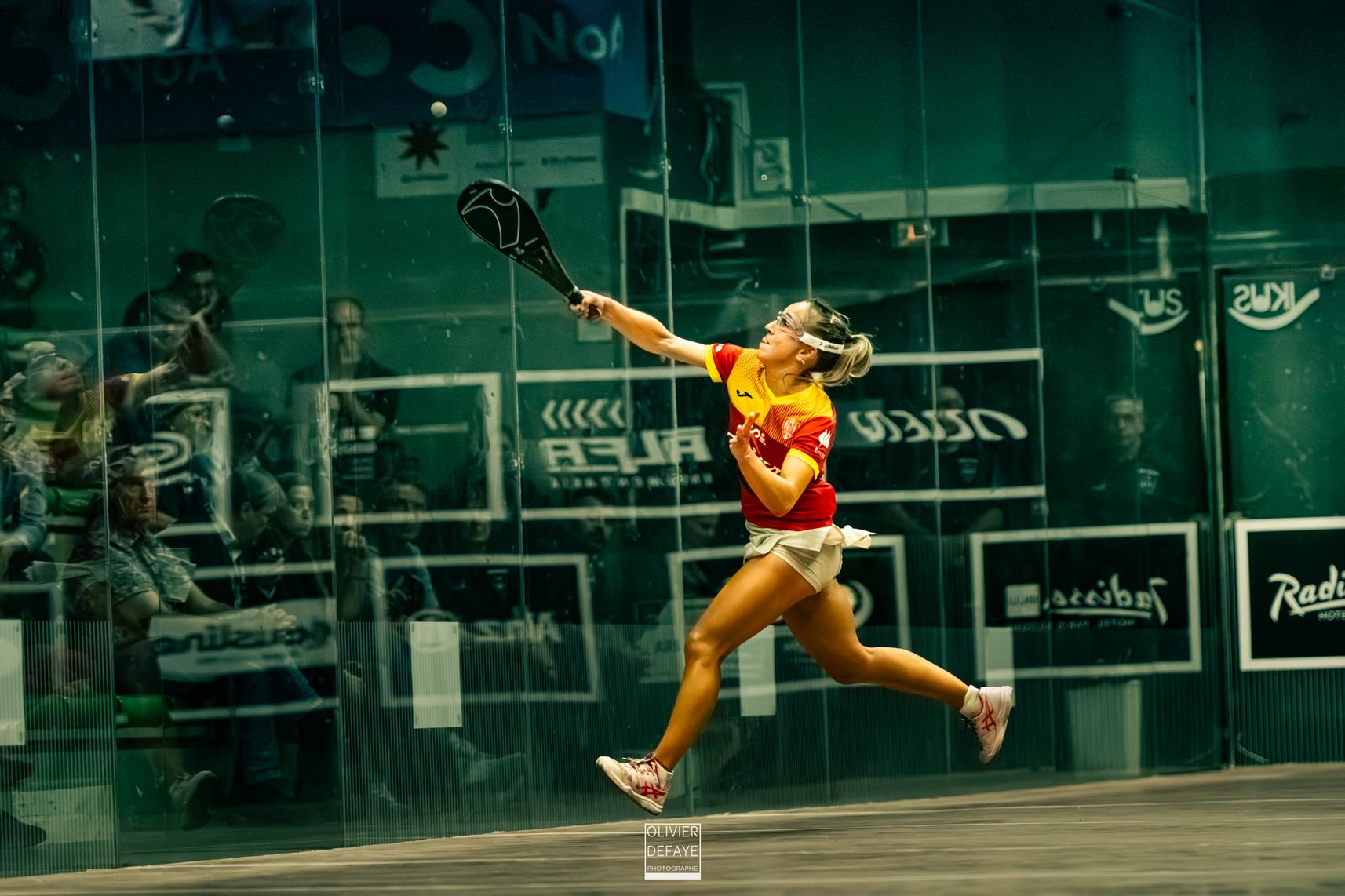 Ligue des nations 2024