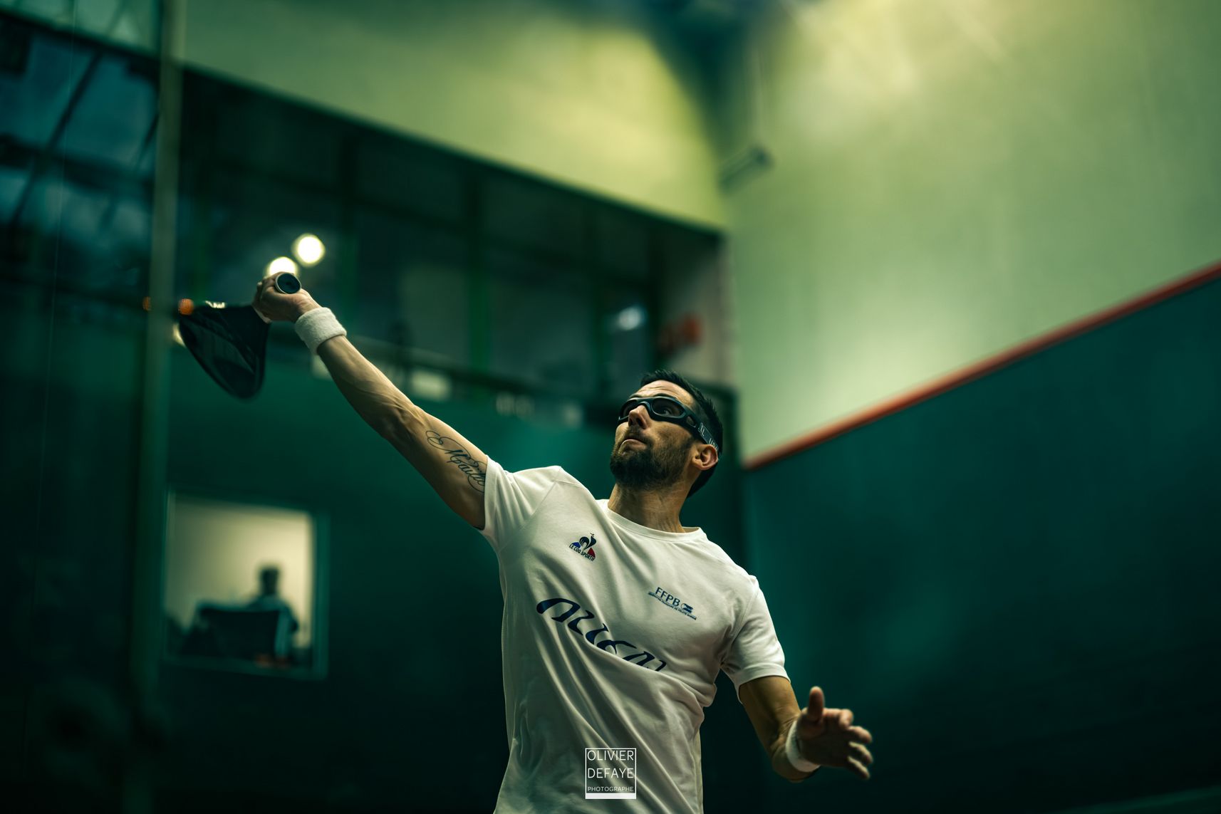 Ligue des nations 2024