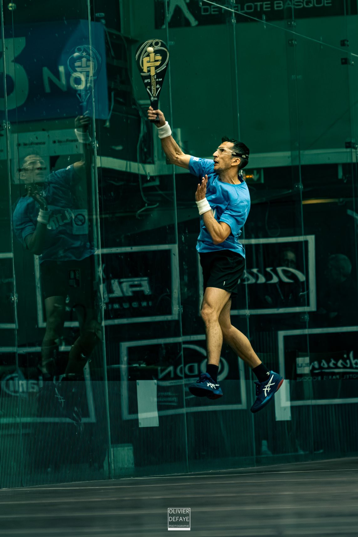 Ligue des nations 2024