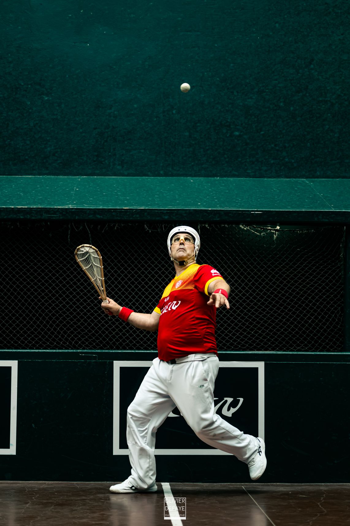 Ligue des nations 2024