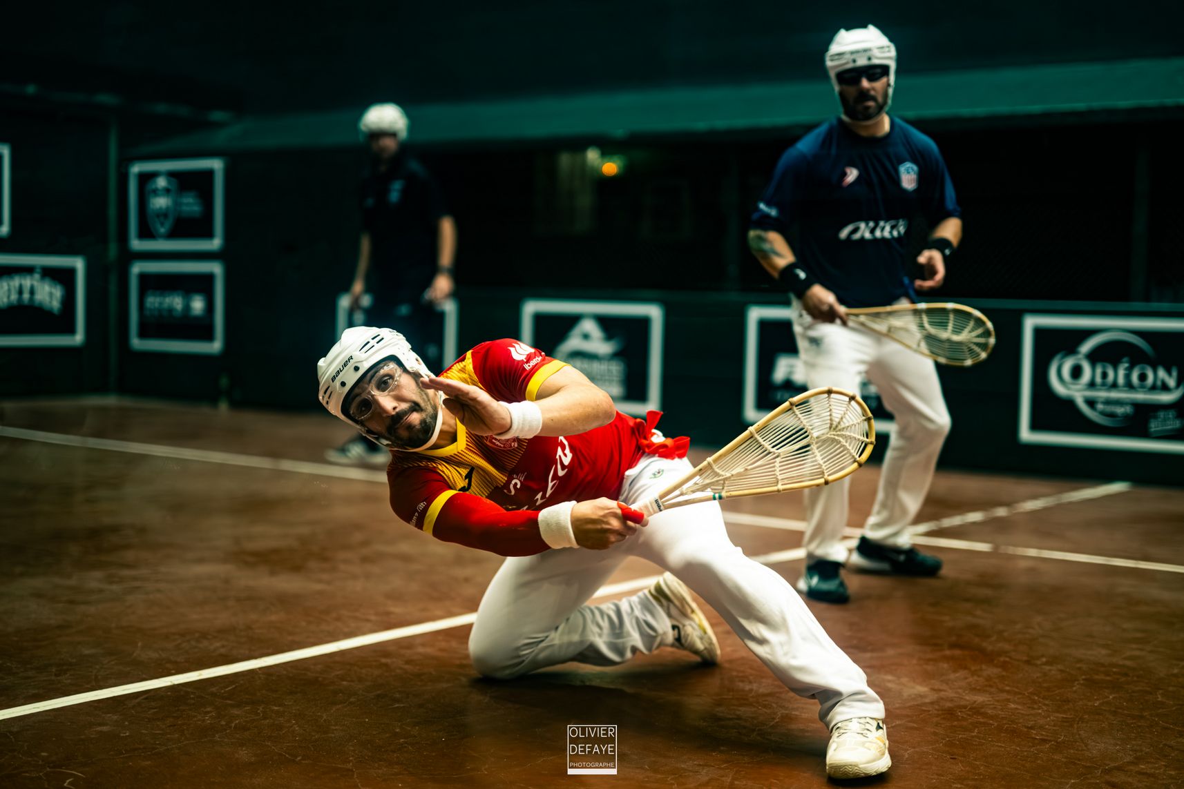 Ligue des nations 2024