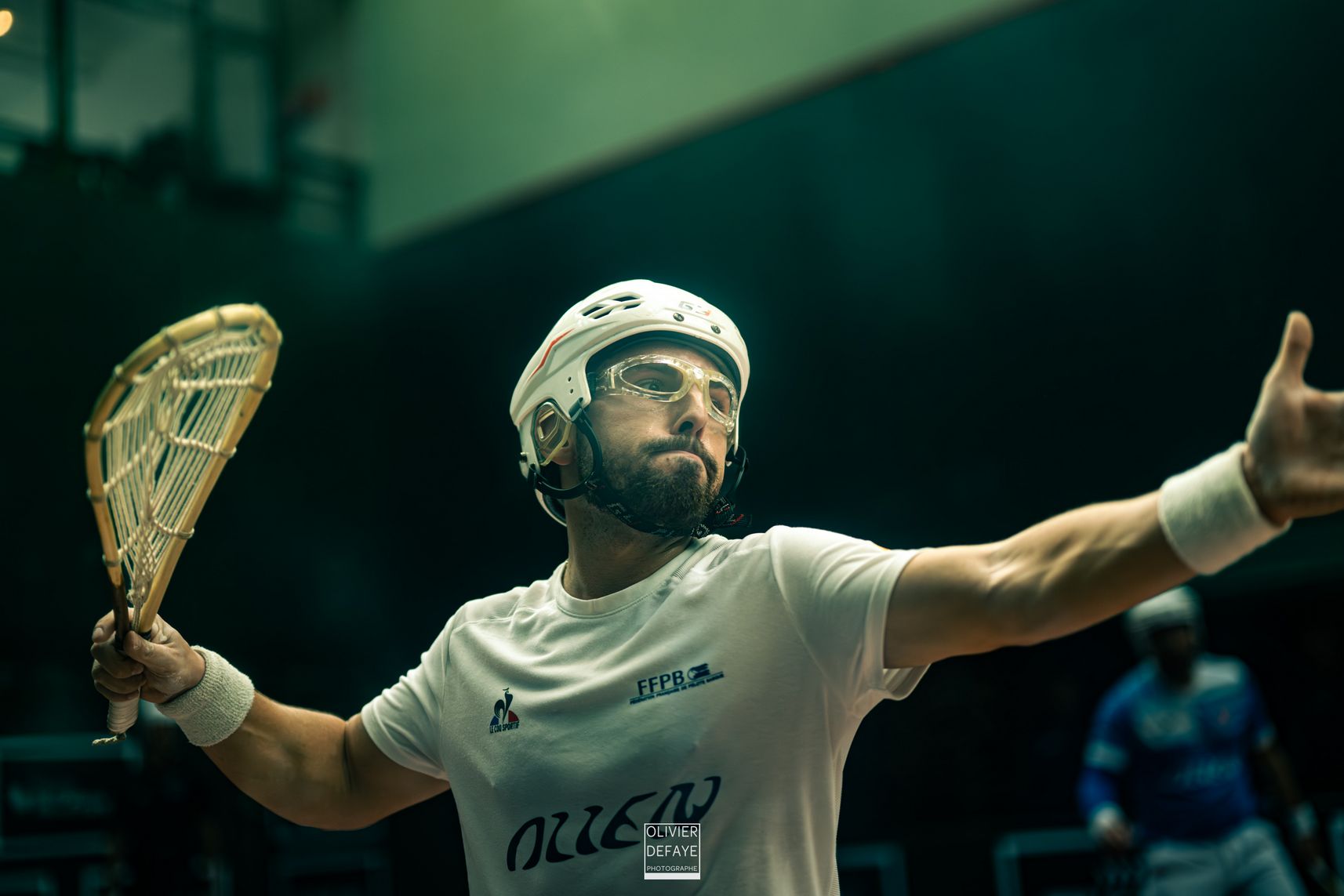 Ligue des nations 2024