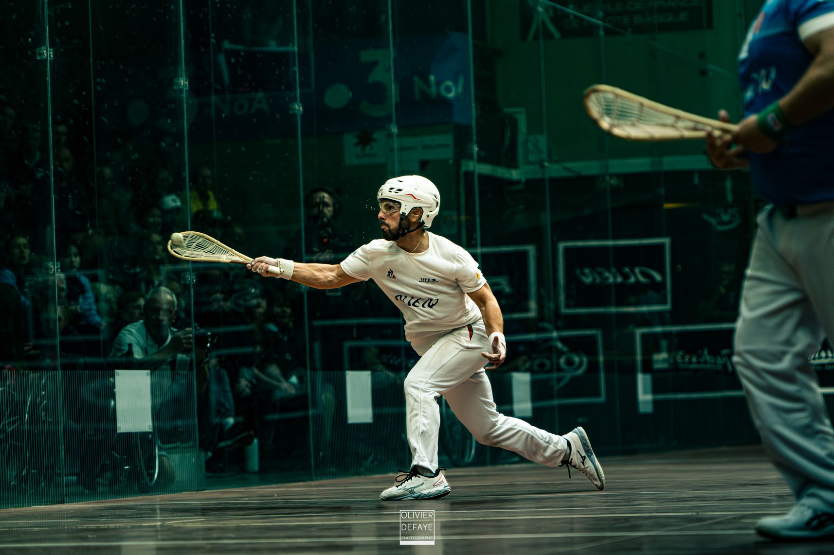 Ligue des nations 2024