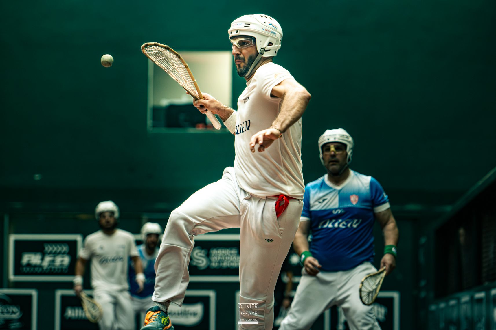 Ligue des nations 2024