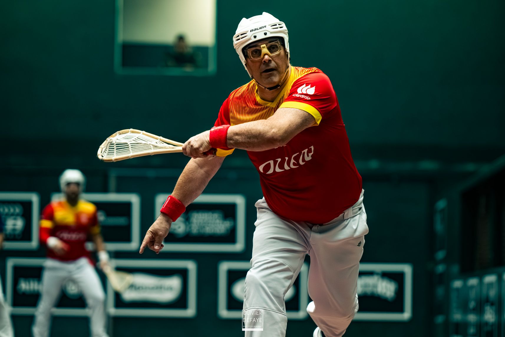 Ligue des nations 2024