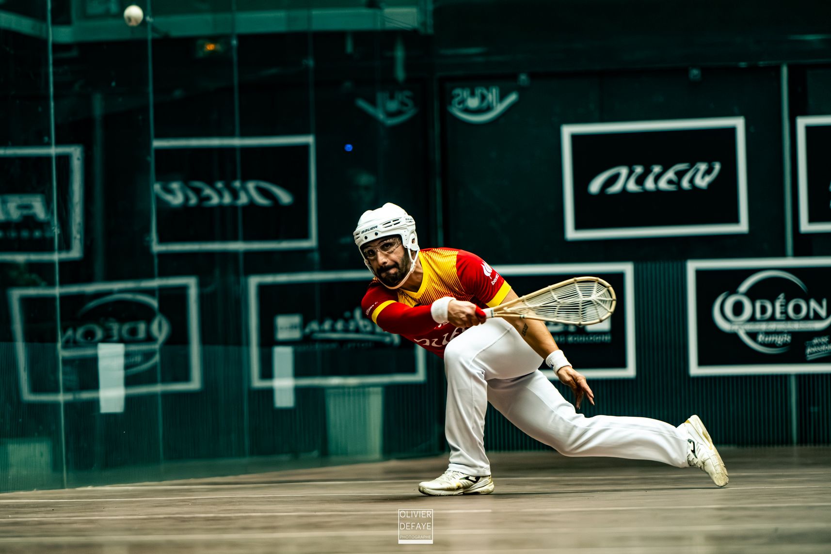 Ligue des nations 2024